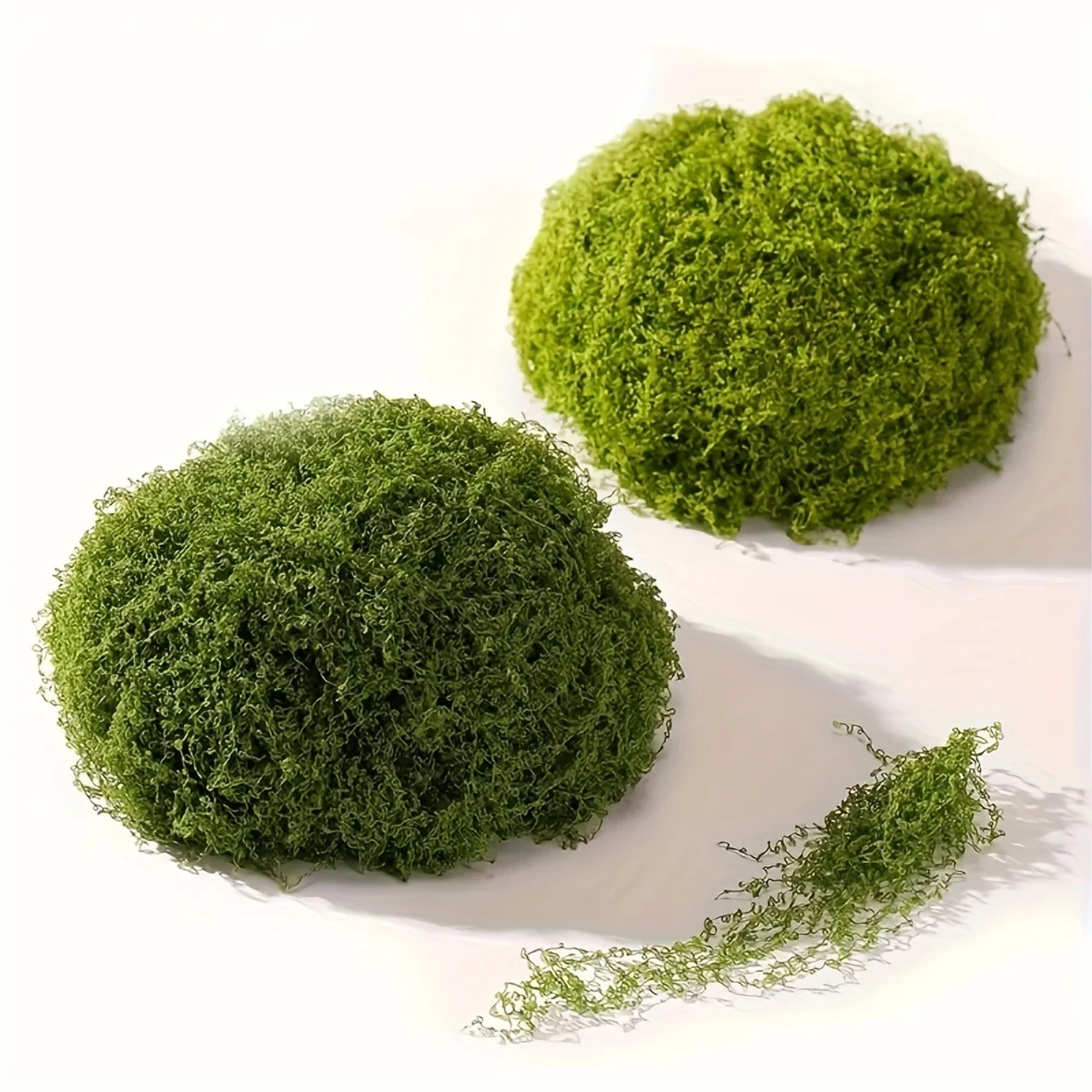50g Fake Moss DIY Crafts Grass - Sphagnum Moss Dry ulasan dan harga