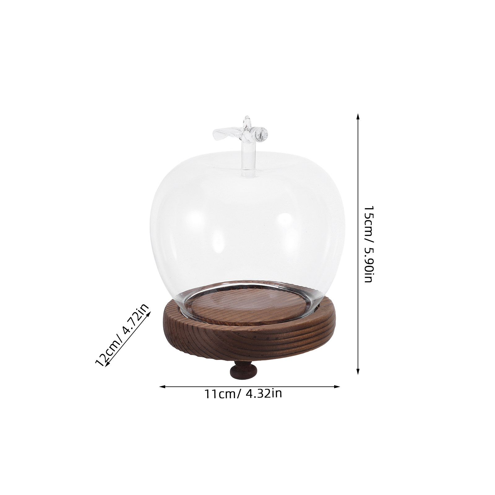 Glass Dome Cloche Clear Displa - Plastic Dome Clear ulasan dan harga