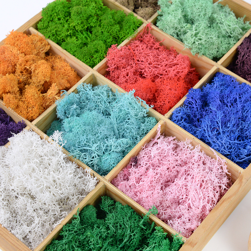 20/40g Artificial Green Plants - Sphagnum Moss Dry ulasan dan harga