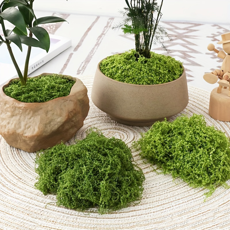 20g/0.7oz Artificial Garden Fa - Sphagnum Moss Dry ulasan dan harga