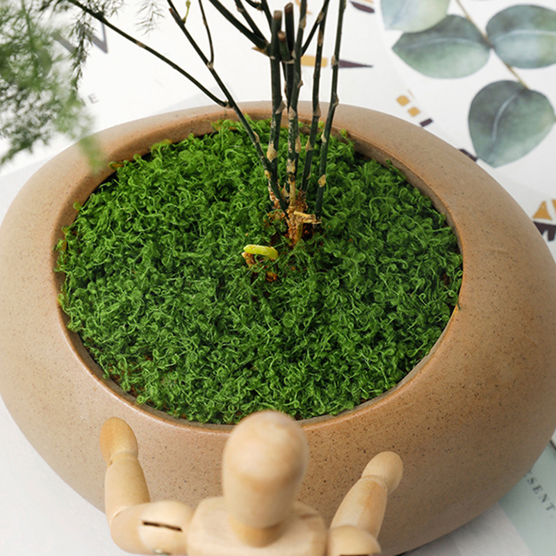 20g/0.7oz Artificial Garden Fa - Sphagnum Moss Dry ulasan dan harga