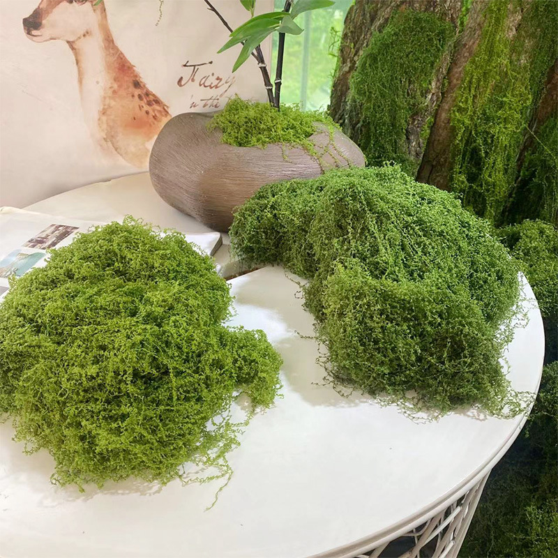 20g/0.7oz Artificial Garden Fa - Sphagnum Moss Dry ulasan dan harga