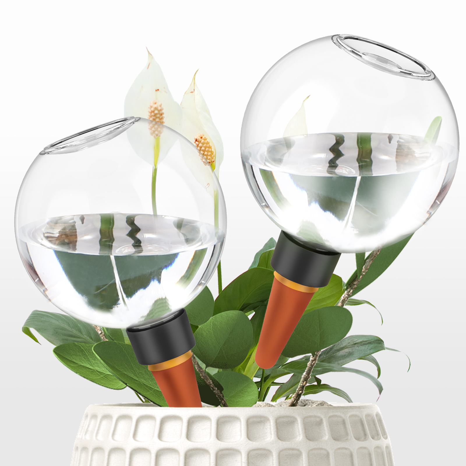 2/4Pcs 500ML Automatic Drip Ir - Self Watering Insert ulasan dan harga