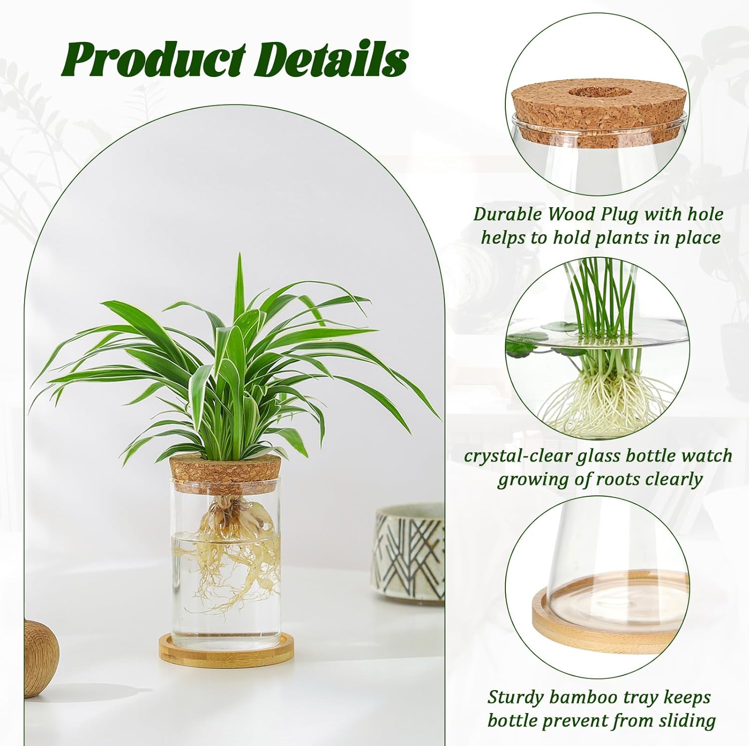 6 Pcs Plants Propagation Stati - Propagation Station Vase ulasan dan harga