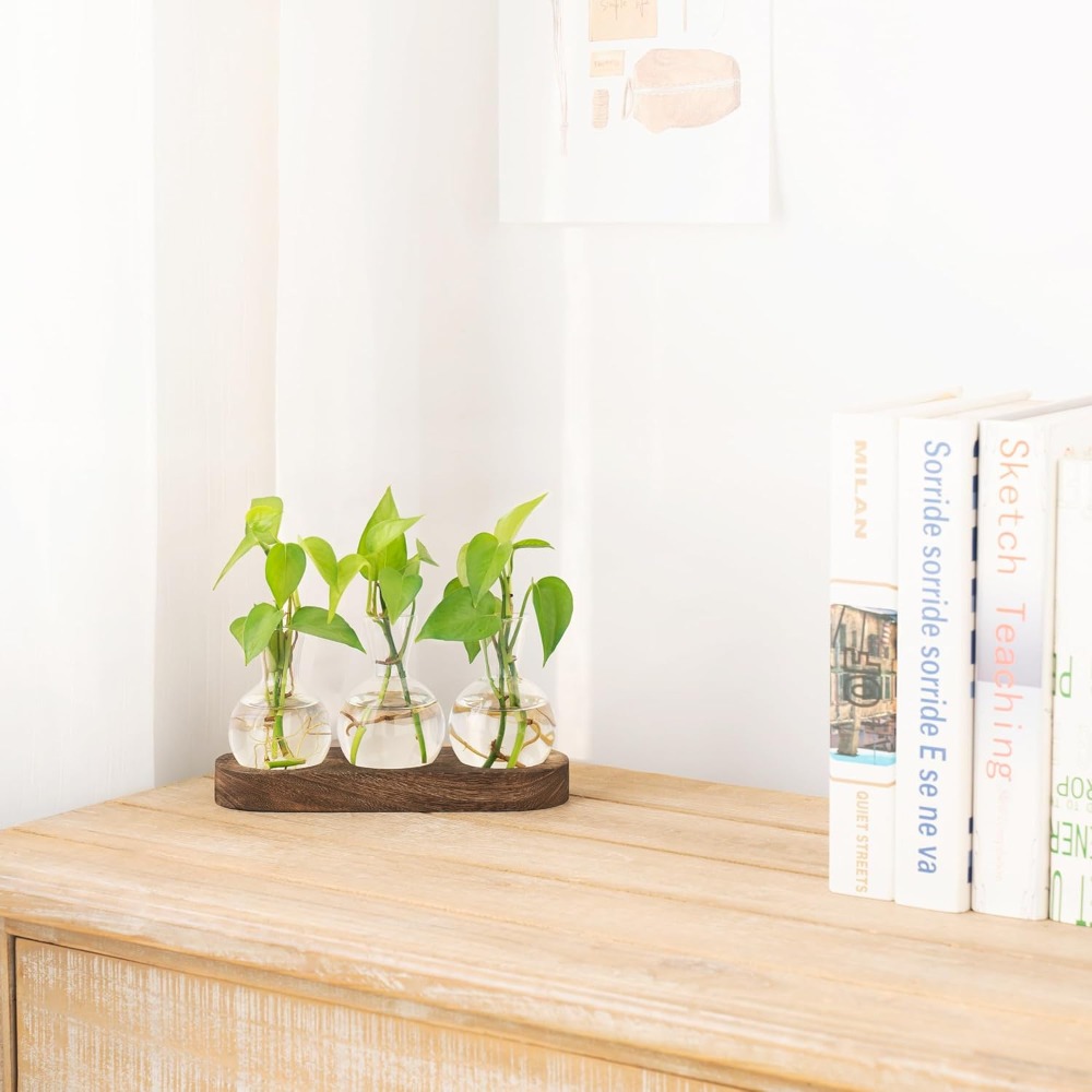 Desktop Plant Propagation Stat - Propagation Station Vase ulasan dan harga