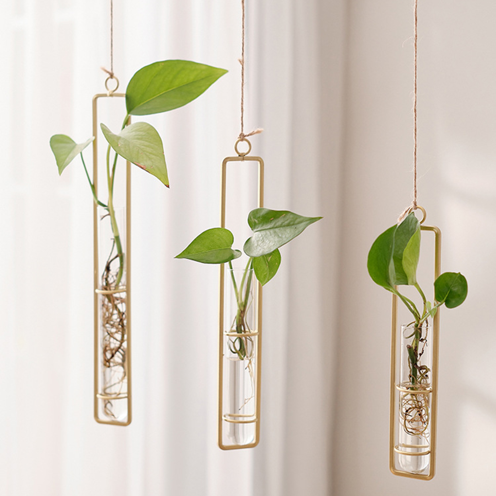 Wall Hanging Glass Vase Europe - Propagation Station Vase ulasan dan harga