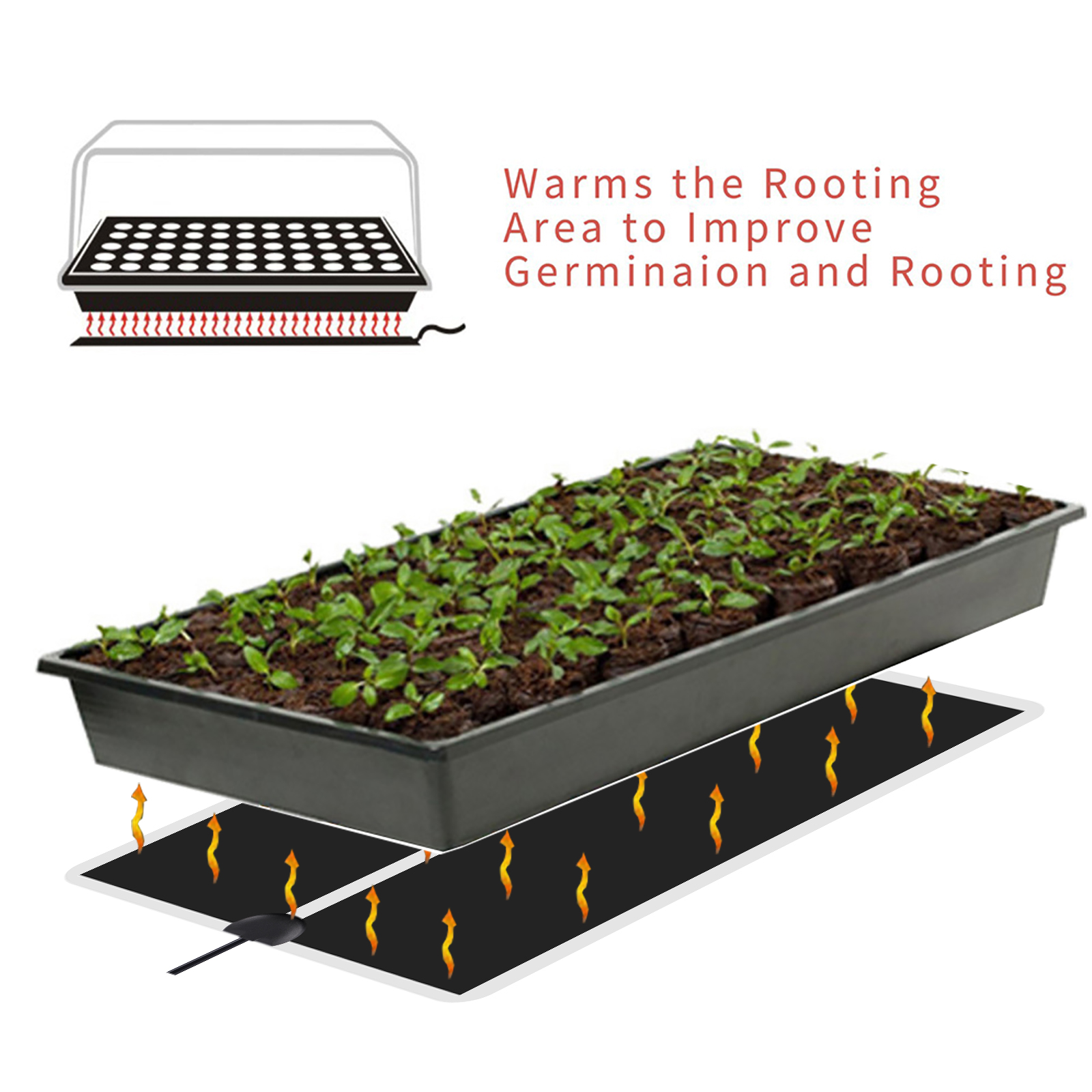 5~45W Seedling Heat Mat 220V~2 - Heat Mat Seedling ulasan dan harga