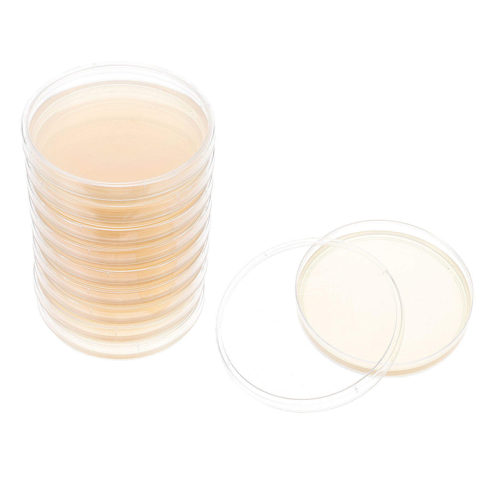 10pcs Nutrient Agar Plates Pre - Agar Tissue Culture ulasan dan harga