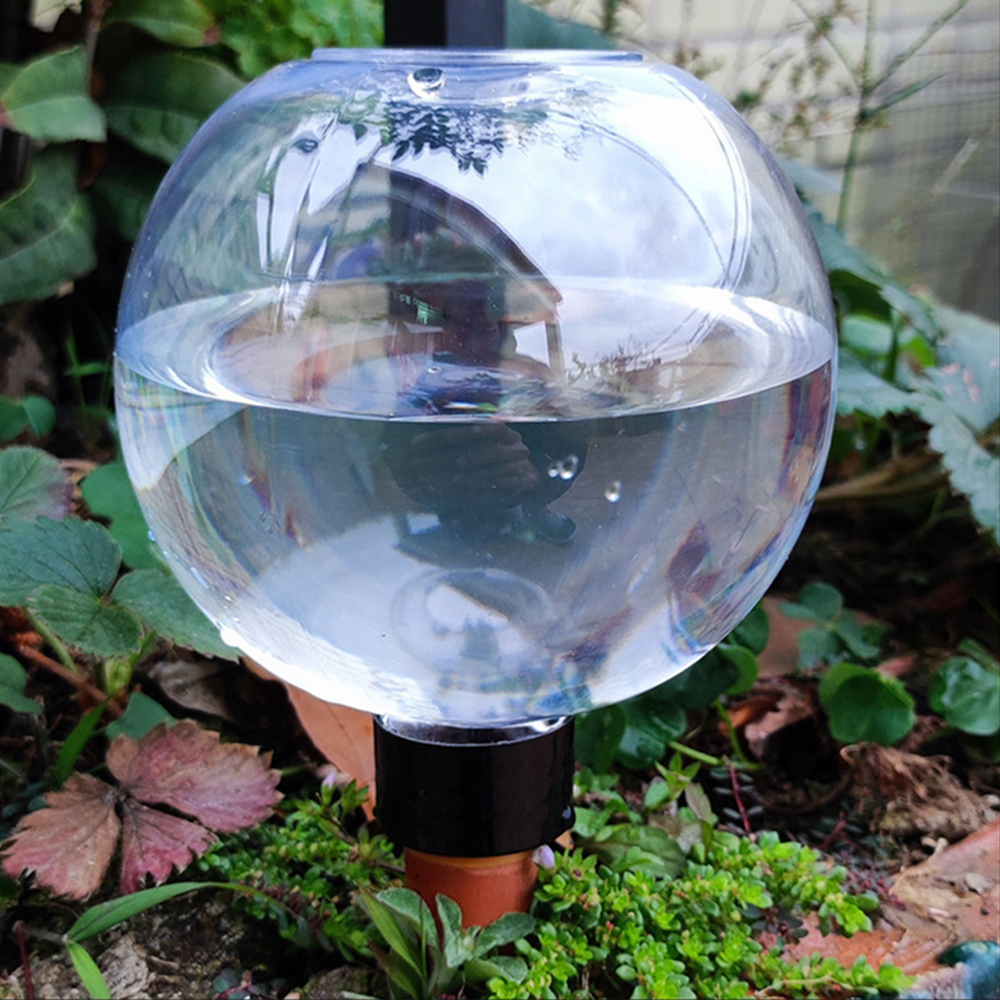 2PCS/4PCS Spherical Automatic  - Self Watering Insert ulasan dan harga