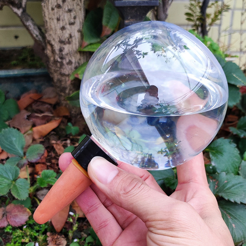 2PCS/4PCS Spherical Automatic  - Self Watering Insert ulasan dan harga