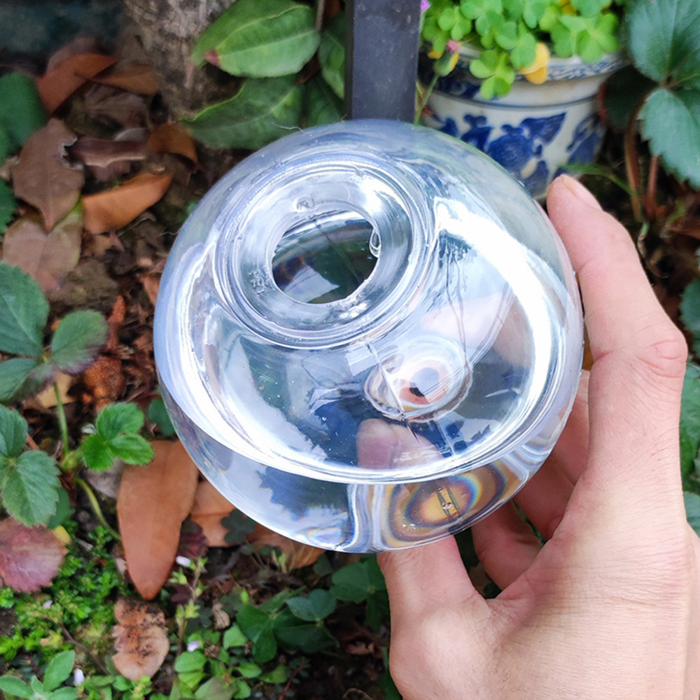 2PCS/4PCS Spherical Automatic  - Self Watering Insert ulasan dan harga