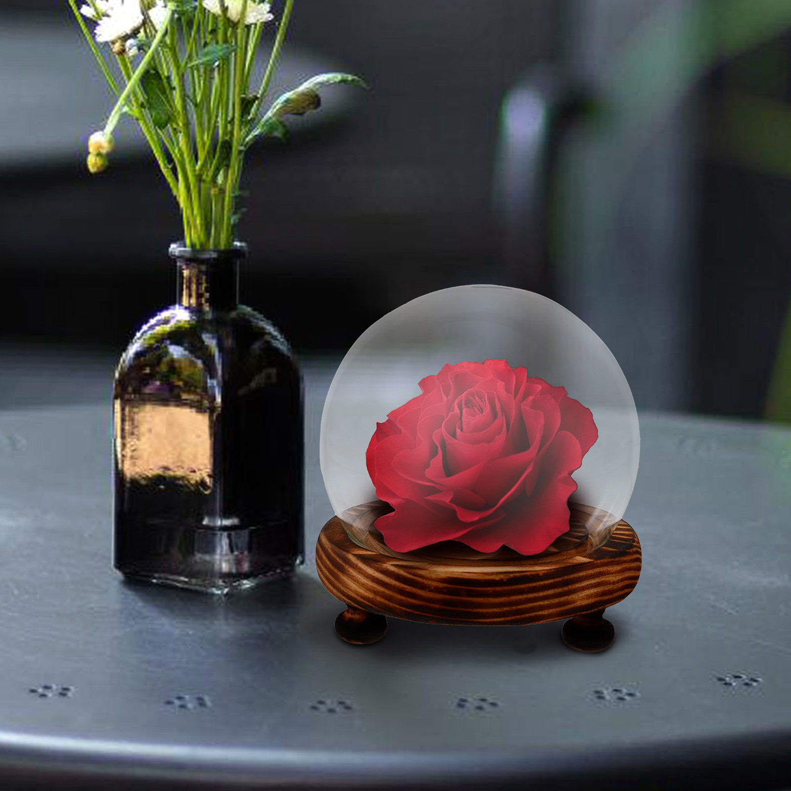 Glass Dome Display Case with W - Plastic Dome Clear ulasan dan harga