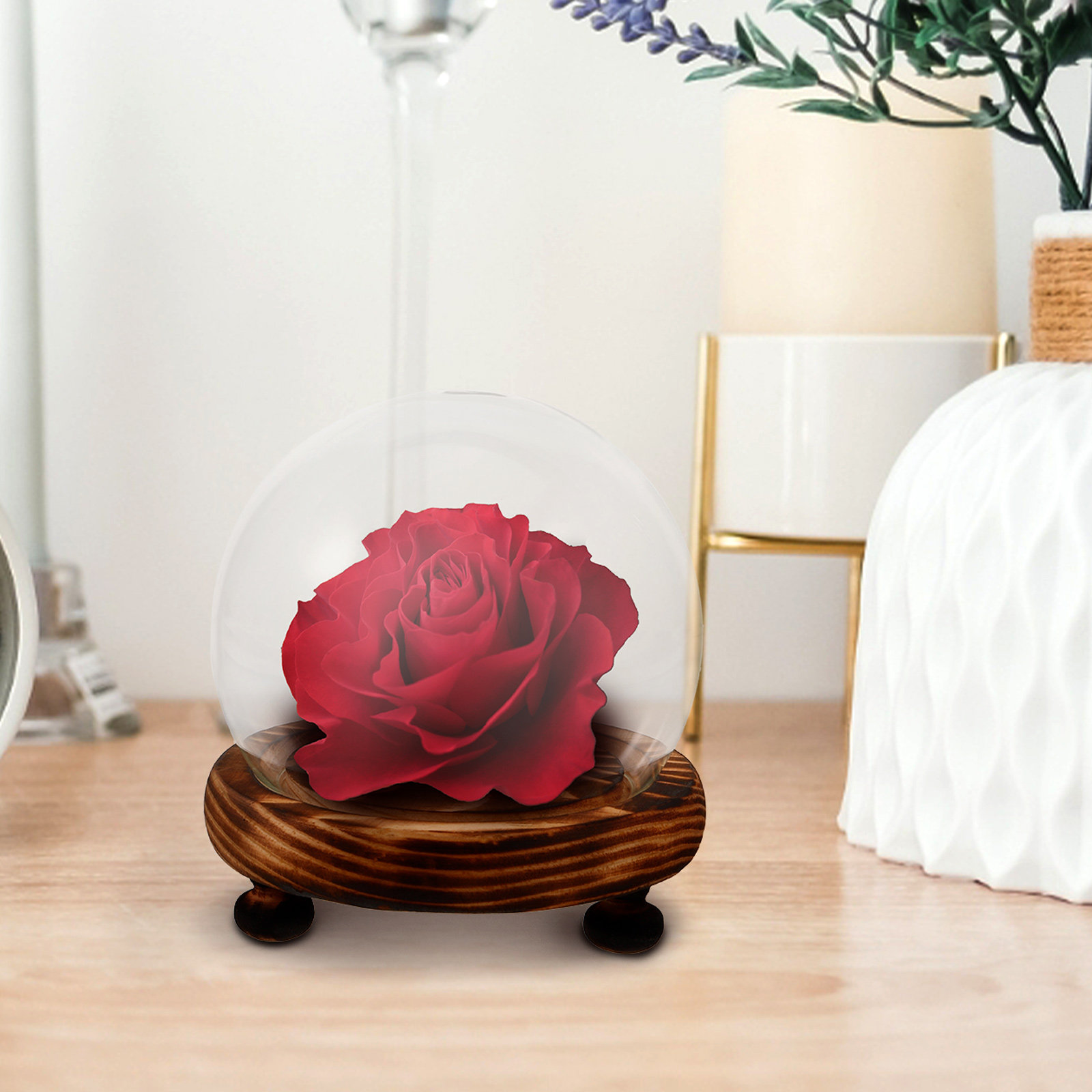 Glass Dome Display Case with W - Plastic Dome Clear ulasan dan harga