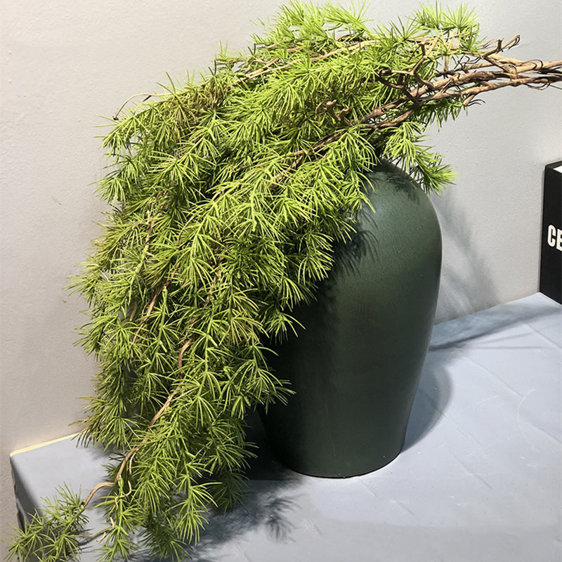 New Pine Needle Vine Wall Hang - Sphagnum Moss Dry ulasan dan harga