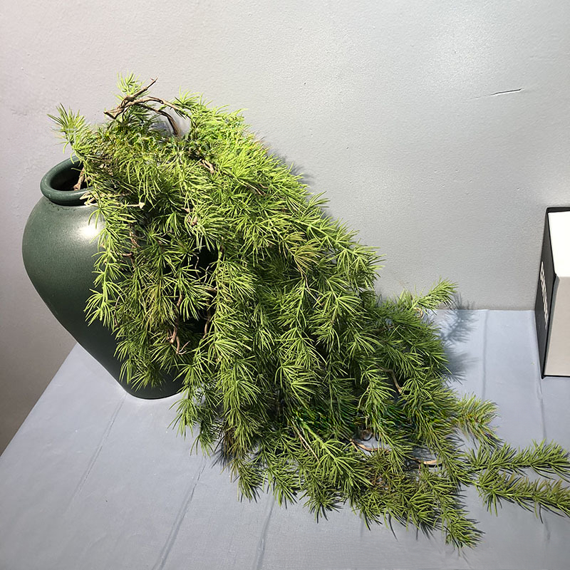 New Pine Needle Vine Wall Hang - Sphagnum Moss Dry ulasan dan harga