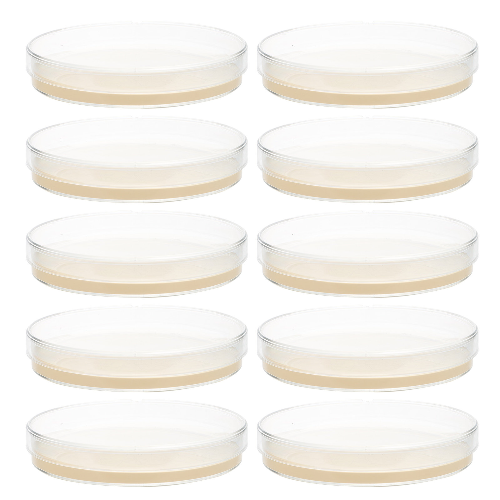 10pcs Nutrient Agar Plates Pre - Agar Tissue Culture ulasan dan harga