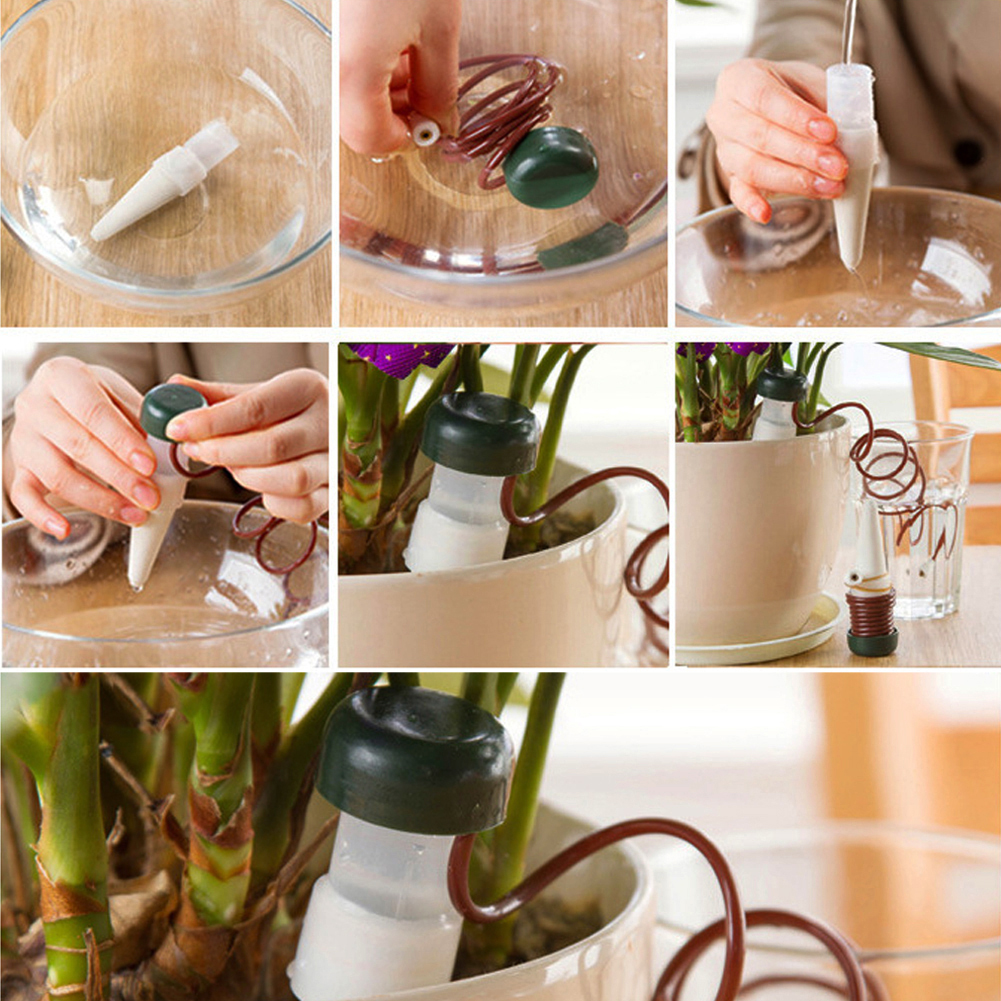 8-24Pcs Self-Watering Probes A - Self Watering Insert ulasan dan harga