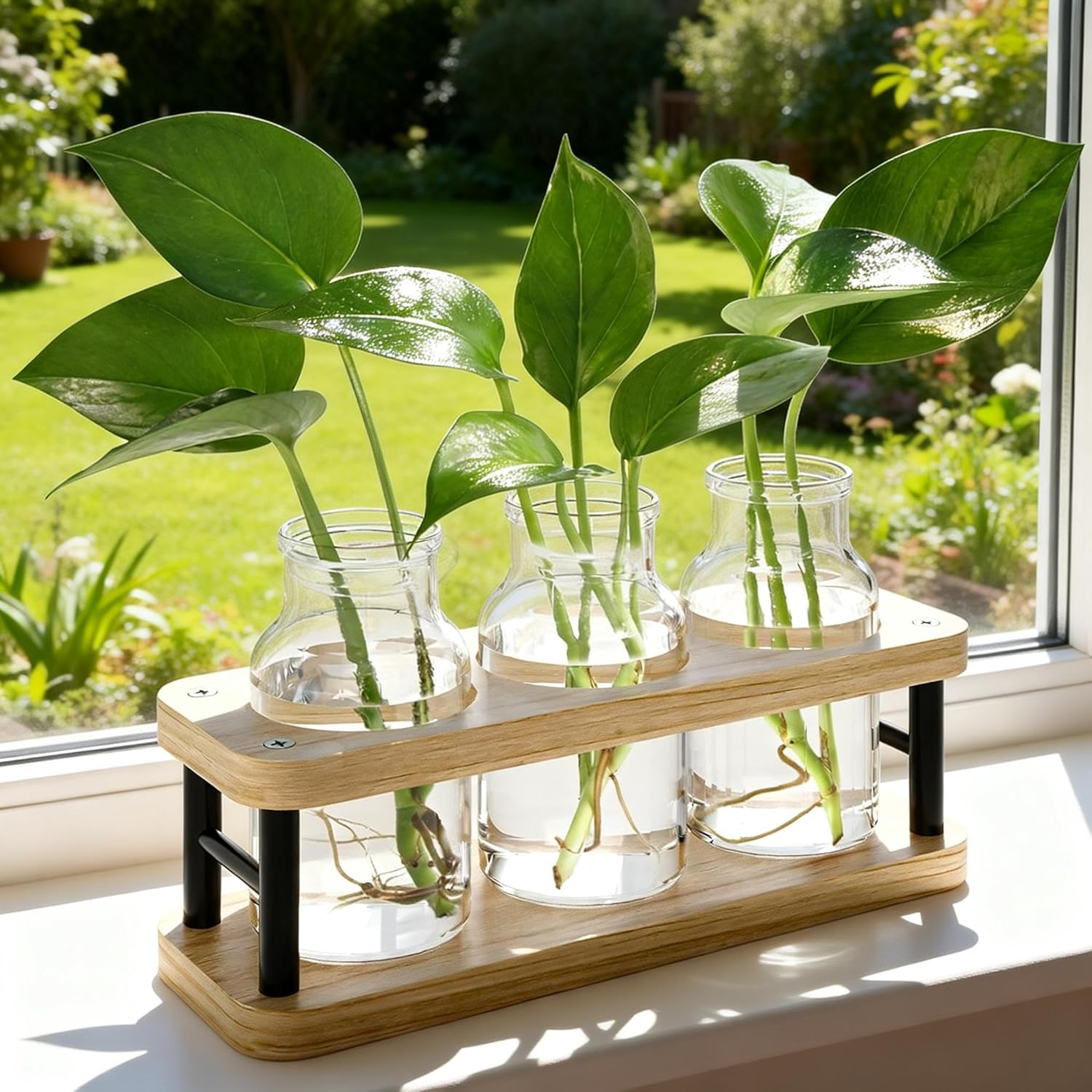 Propagation Station with Woode - Propagation Station Vase ulasan dan harga