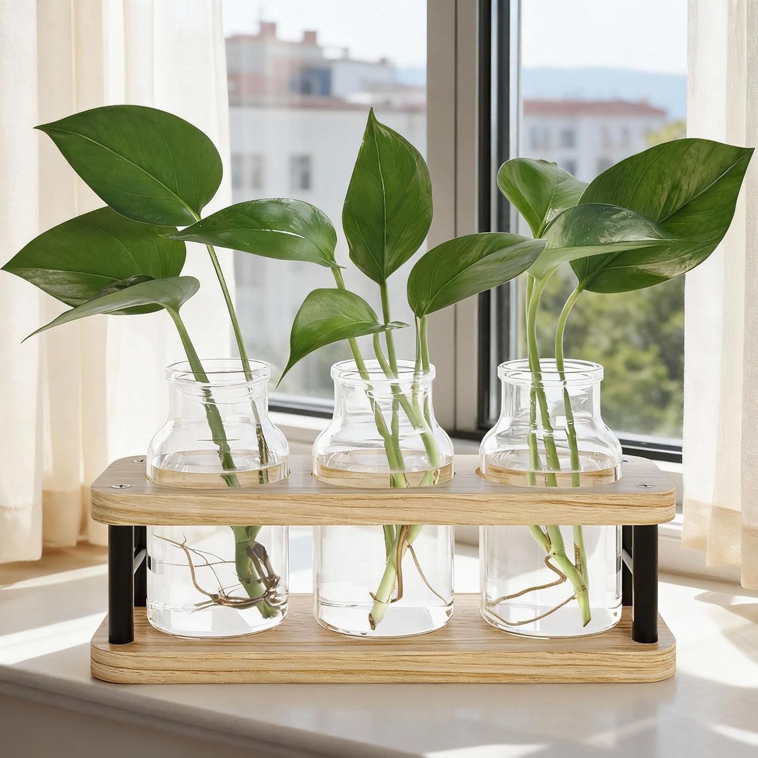 Propagation Station with Woode - Propagation Station Vase ulasan dan harga