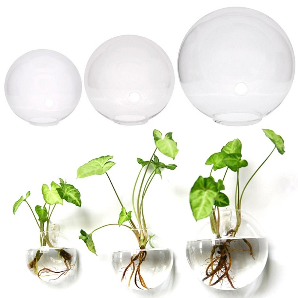 Transparent Glass Vase Wall Ha - Propagation Station Vase ulasan dan harga