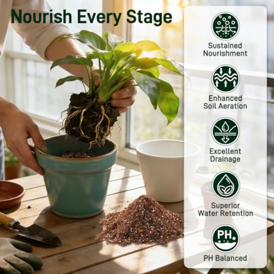 2 Mix for Indoor Plants - Cont - Coco Perlite Mix ulasan dan harga