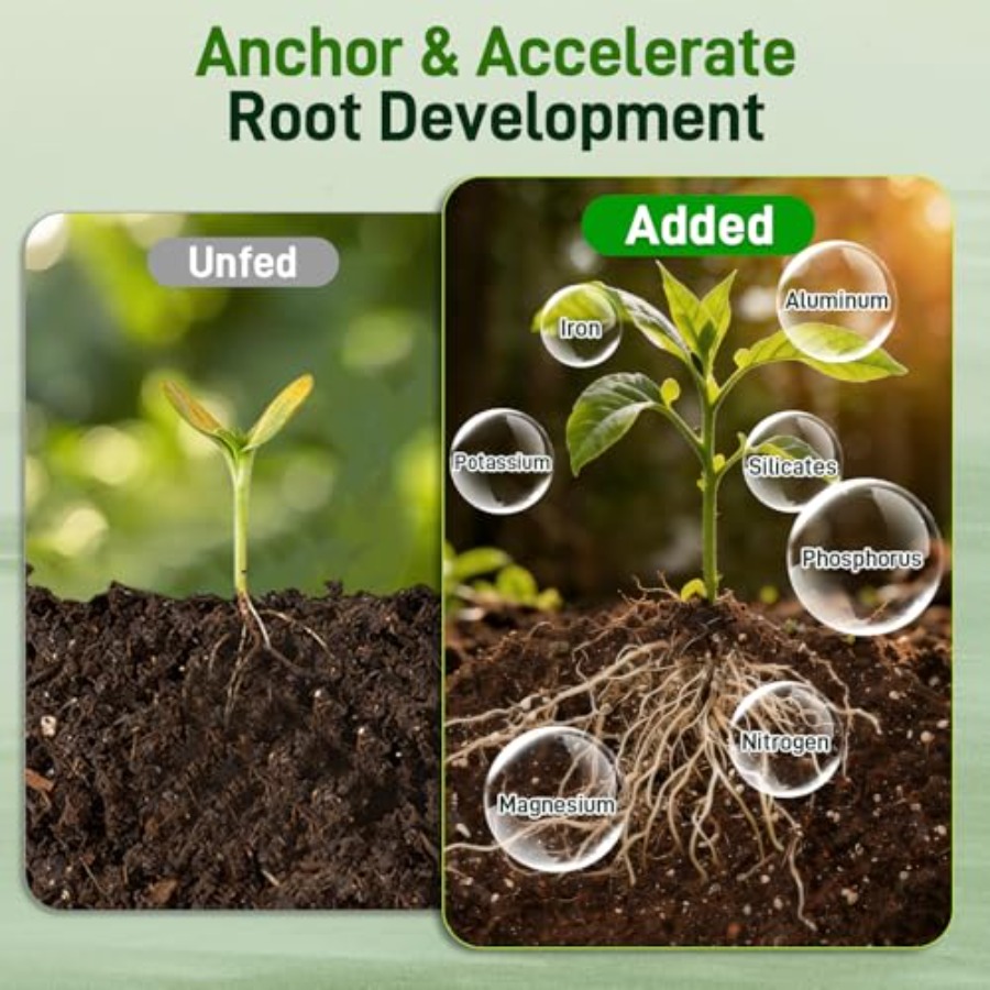 2 Mix for Indoor Plants - Cont - Coco Perlite Mix ulasan dan harga