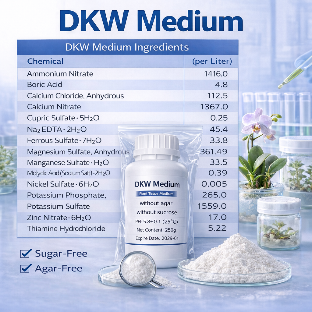 DKW Medium Plant Tissue Cultur - Agar Tissue Culture ulasan dan harga