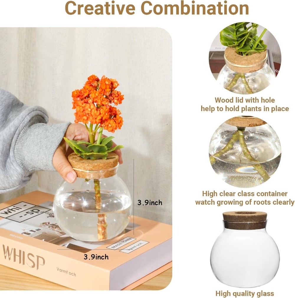 Hydroponic Plant Propagation S - Propagation Station Vase ulasan dan harga