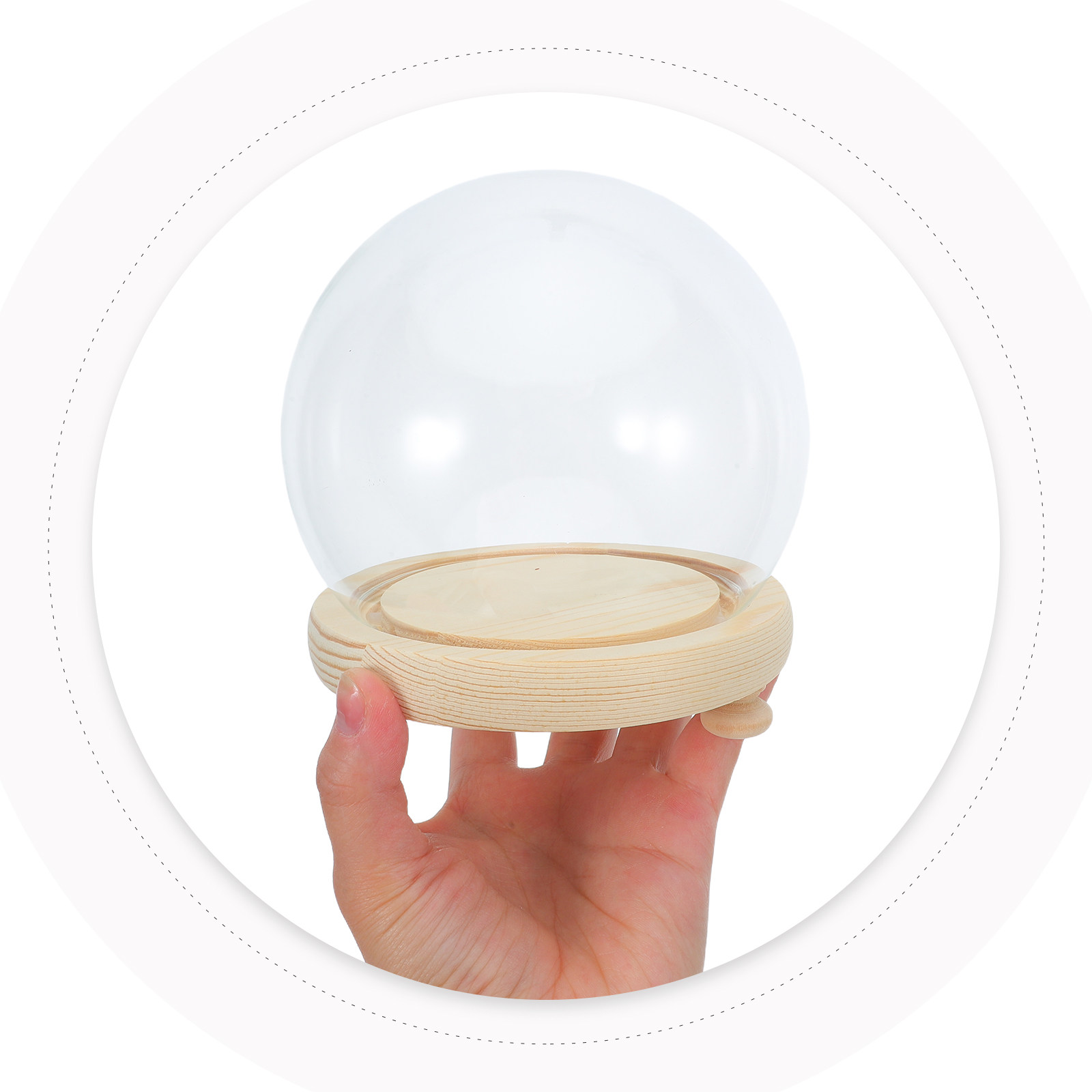 Preserved Flower Glass Dome El - Plastic Dome Clear ulasan dan harga