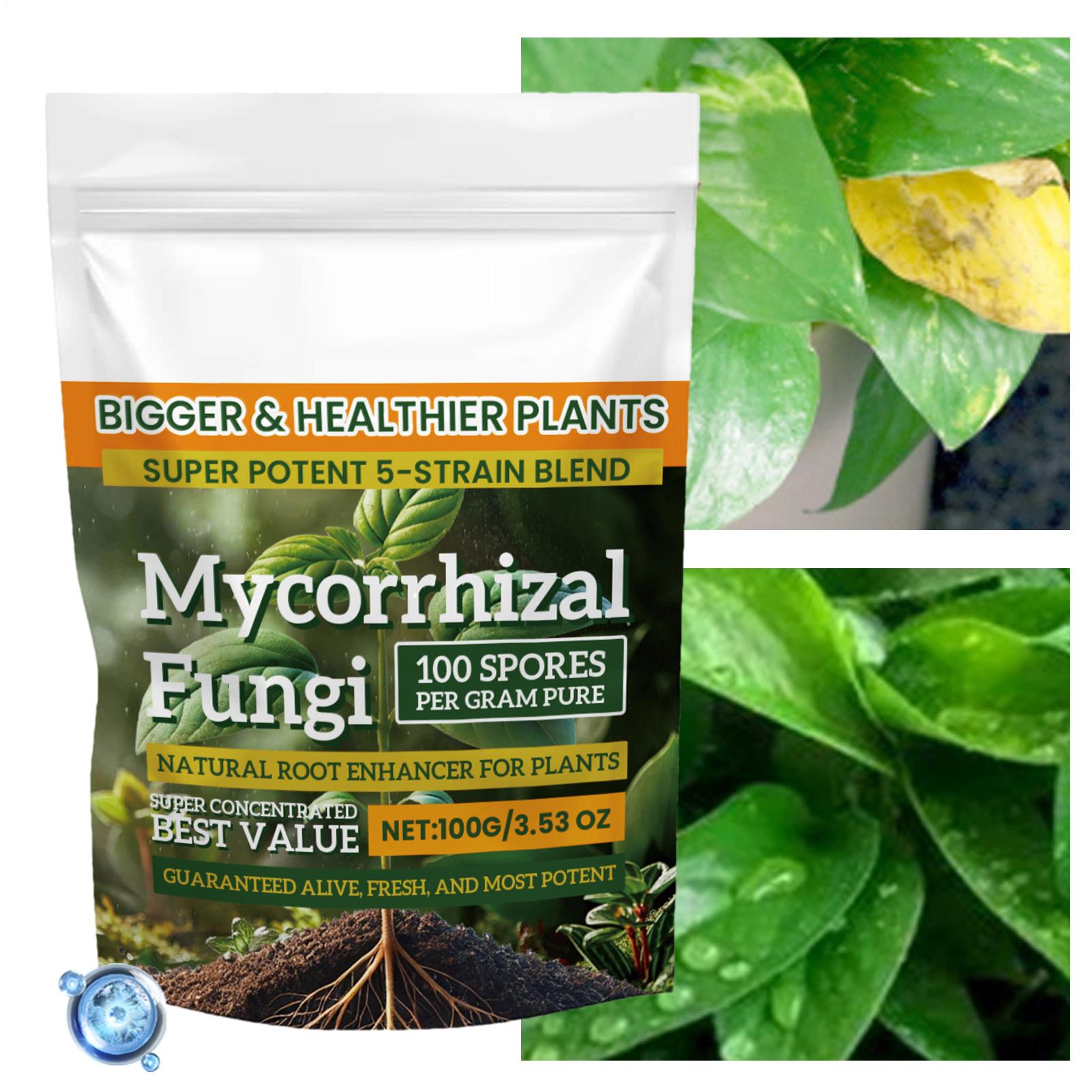 Plant Growth Enhancer Powder 1 - Rooting Hormone Powder ulasan dan harga