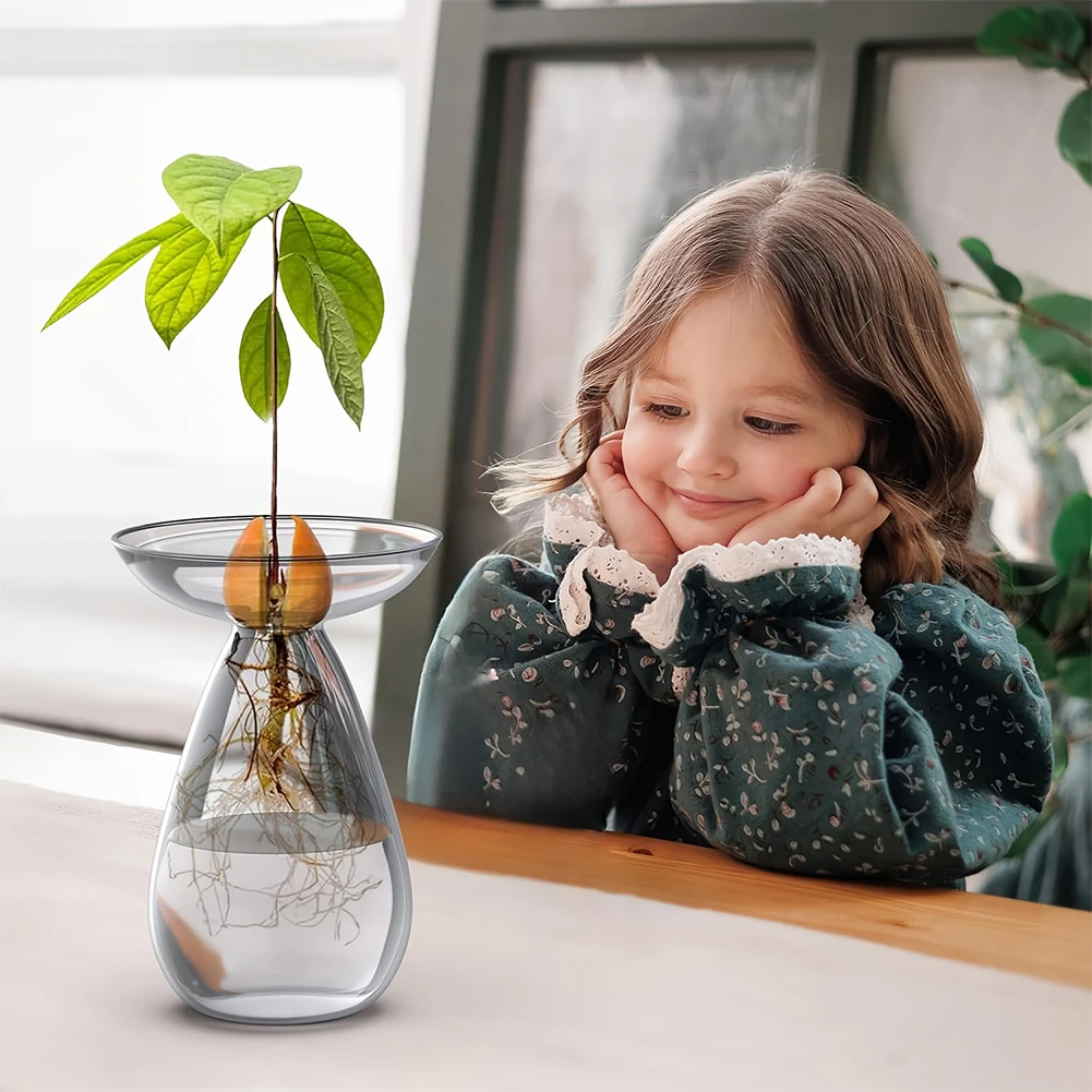 Avocado Seed Starter Vase Tran - Propagation Station Vase ulasan dan harga