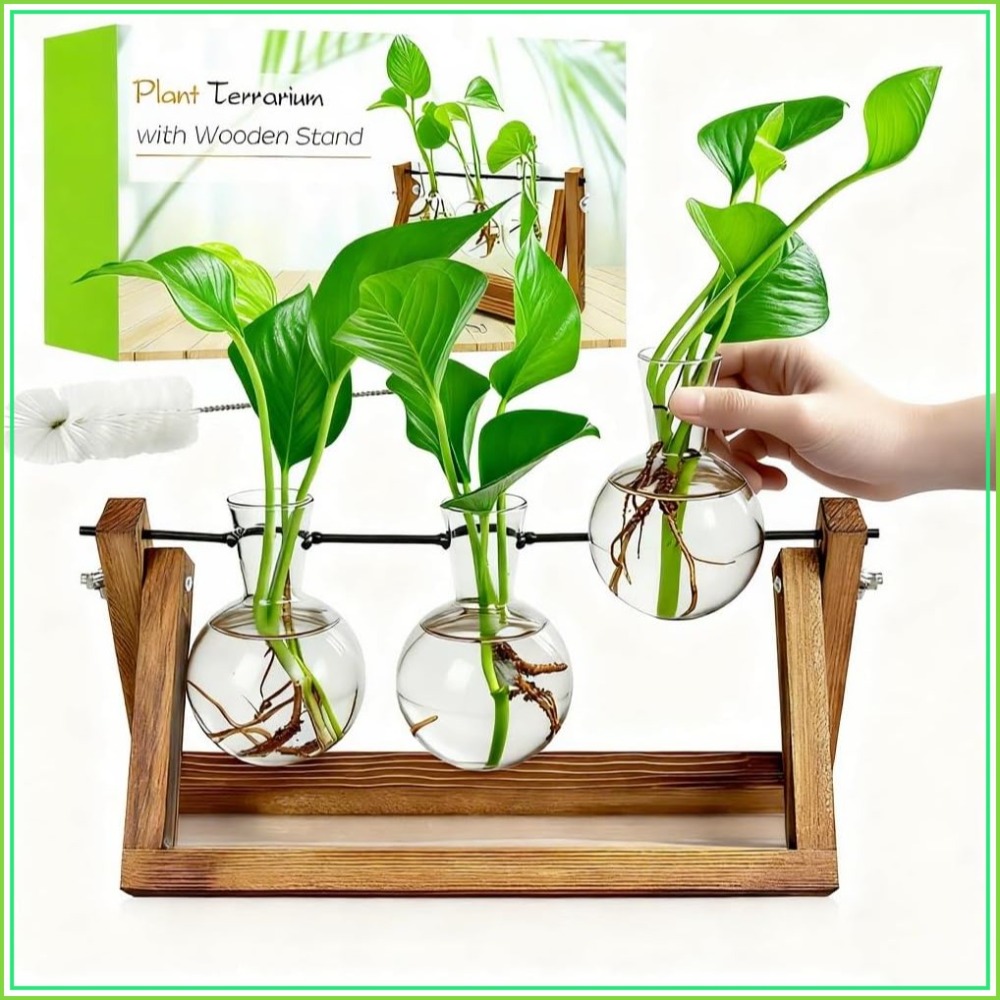 Plant Propagation Station with - Propagation Station Vase ulasan dan harga