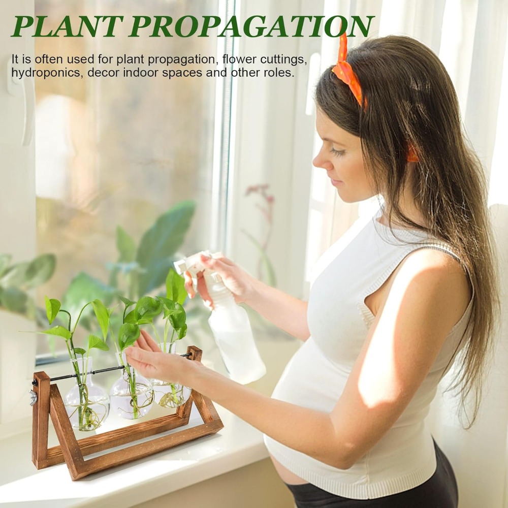 Plant Propagation Station with - Propagation Station Vase ulasan dan harga