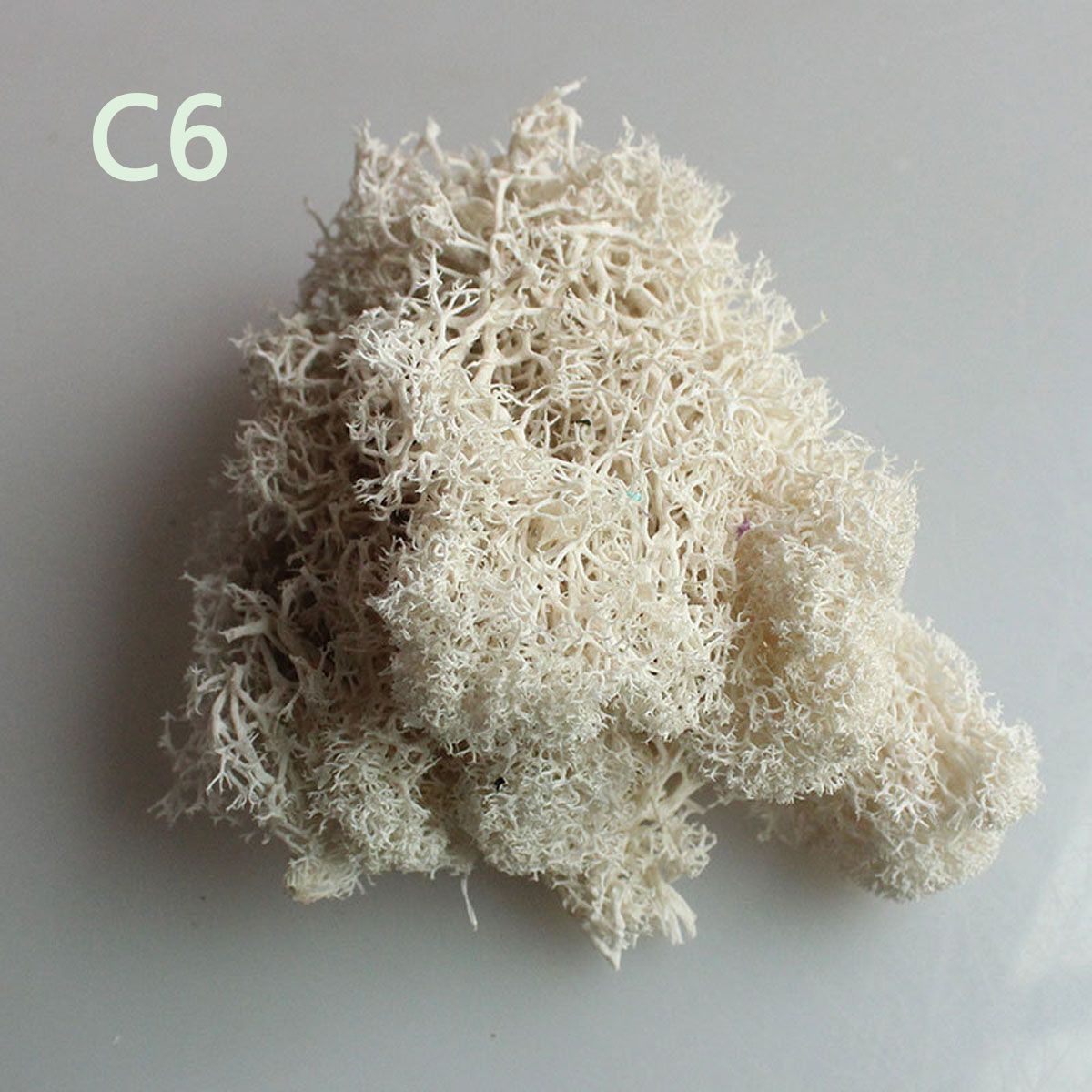 Colorful DIY Home Decor Christ - Sphagnum Moss Dry ulasan dan harga