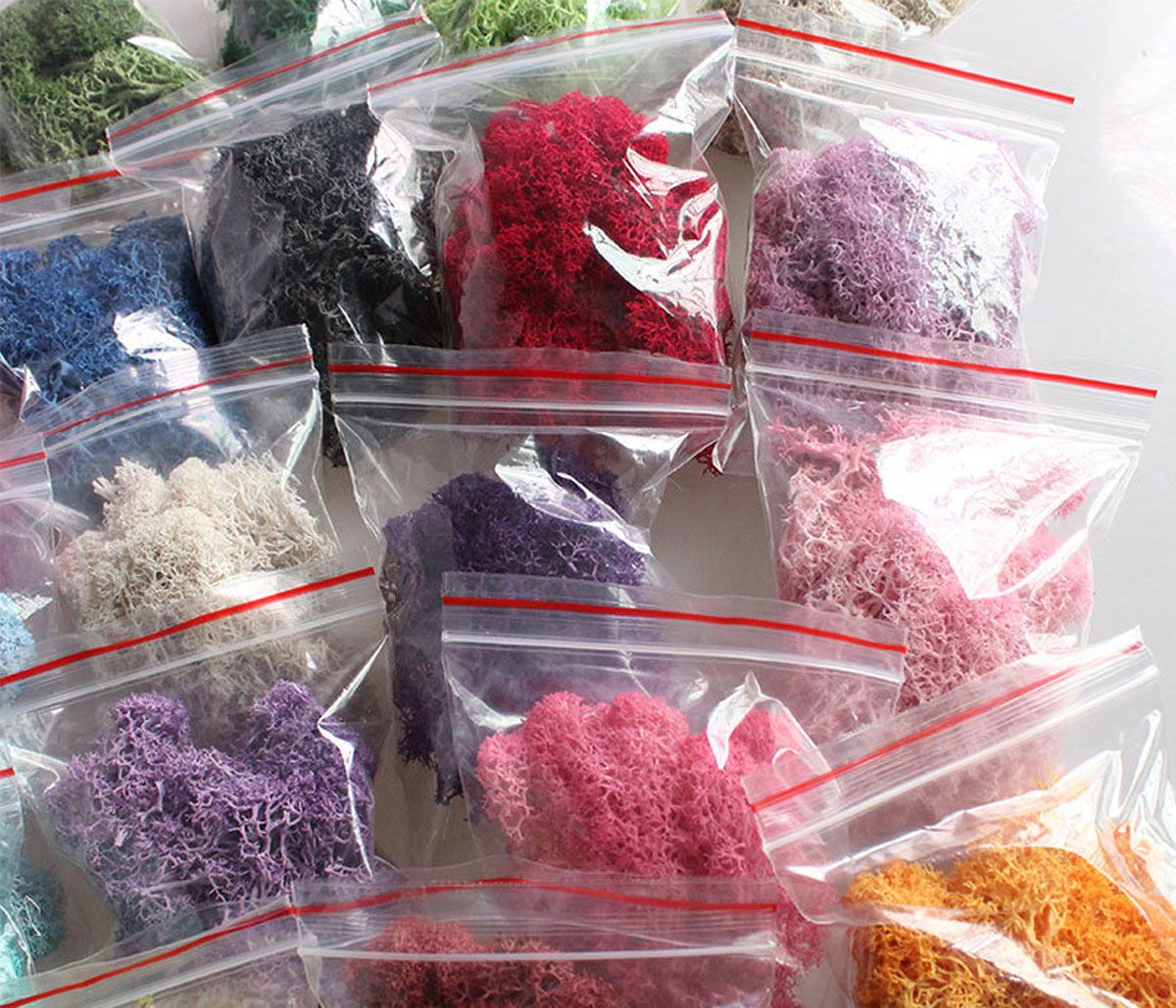 Colorful DIY Home Decor Christ - Sphagnum Moss Dry ulasan dan harga