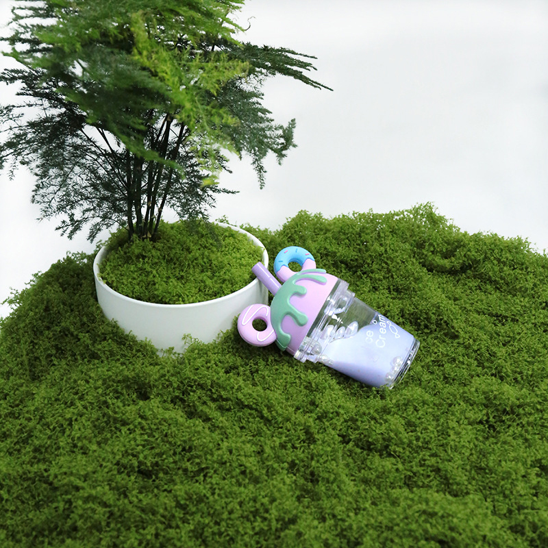 【P】50g Fake Moss DIY Crafts Gr - Sphagnum Moss Dry ulasan dan harga