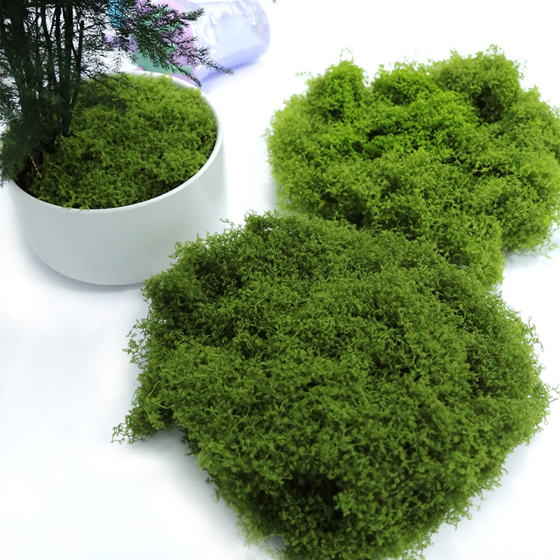 【P】50g Fake Moss DIY Crafts Gr - Sphagnum Moss Dry ulasan dan harga