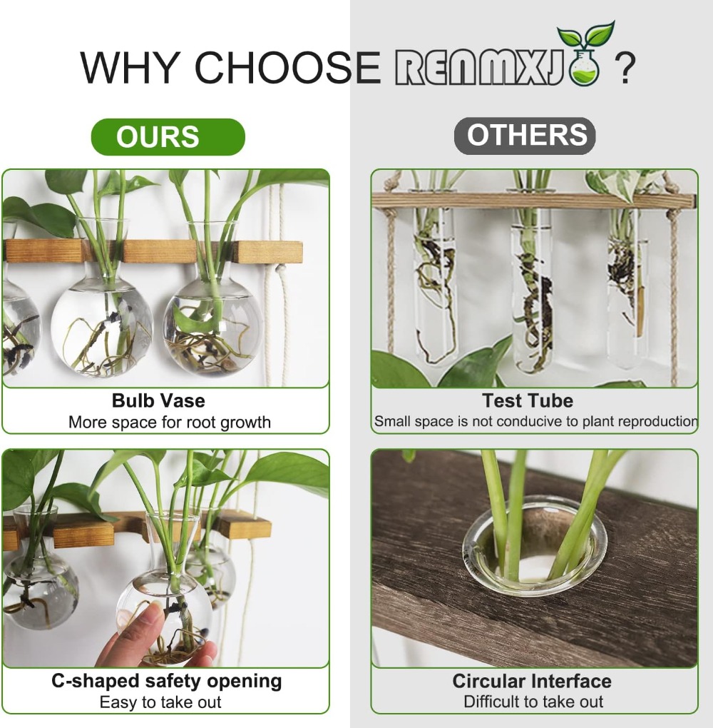 Wall Hanging Plant Propagation - Propagation Station Vase ulasan dan harga